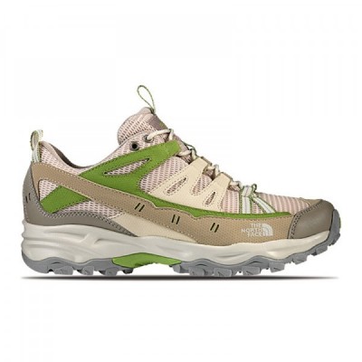 shoe shoe