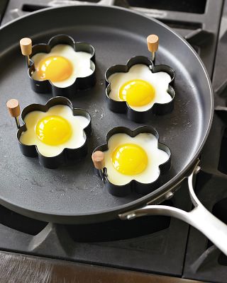 egg egg